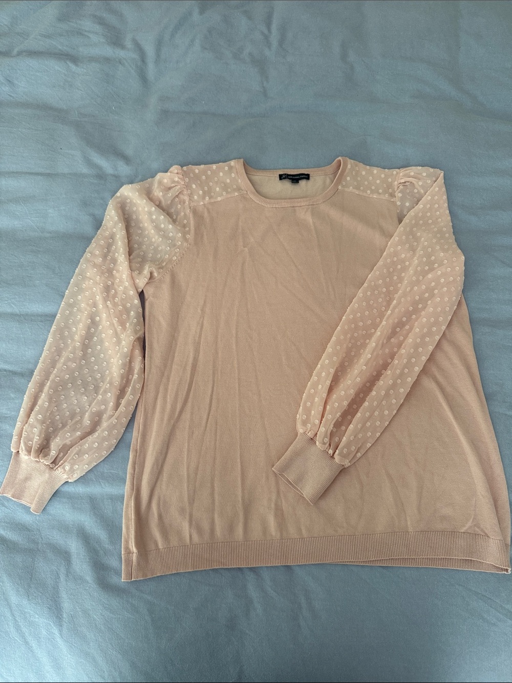 Adrianna Papell Light Blush Crewneck Sweater with Sheer Dot Sleeves